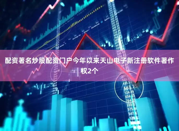 配资著名炒股配资门户今年以来天山电子新注册软件著作权2个