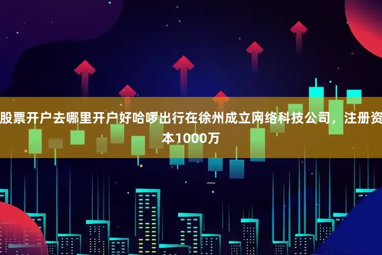 股票开户去哪里开户好哈啰出行在徐州成立网络科技公司，注册资本1000万
