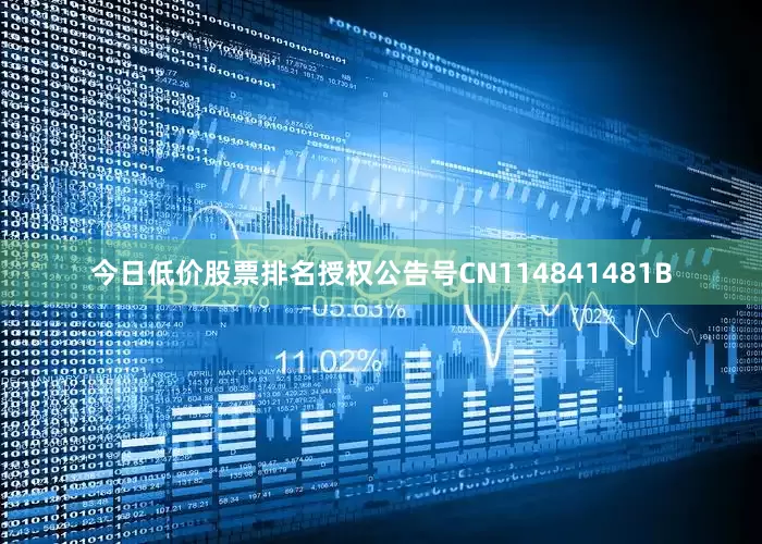 今日低价股票排名授权公告号CN114841481B